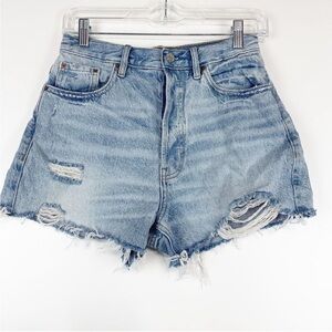 Pacsun Ultra High Rise Vintage shorts SIZE 22
